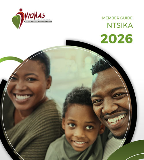 Ntsika Plan Options 2026